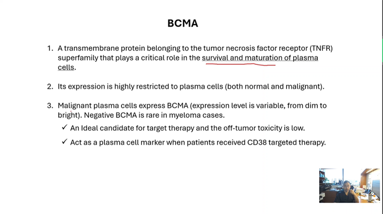 691bd7cca34db.png 691bd7cca34db.png